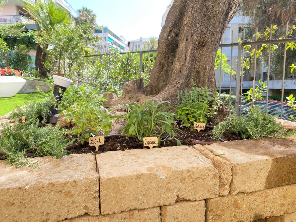 Ariston & Casino - Con Giardino E Garage Apartamento